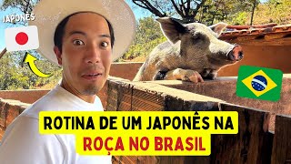 Rotina de uma japonês na roça no Brasil