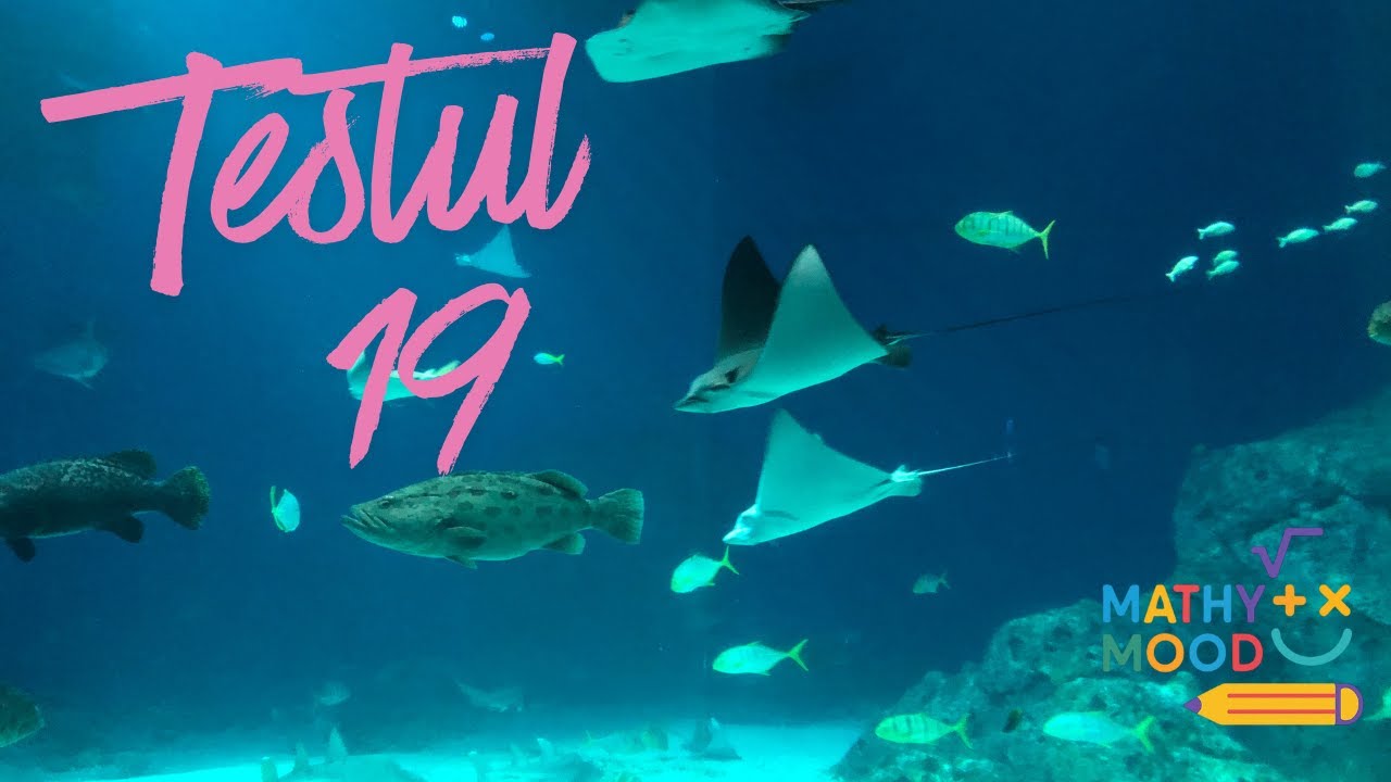 Test de Evaluare Nationala, numarul 19