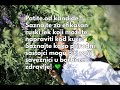 Ovo ruski travar preporučuje za Kandidu