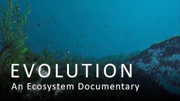 Ecosystem: Life Begins in Simulation - A Mini-Documentary