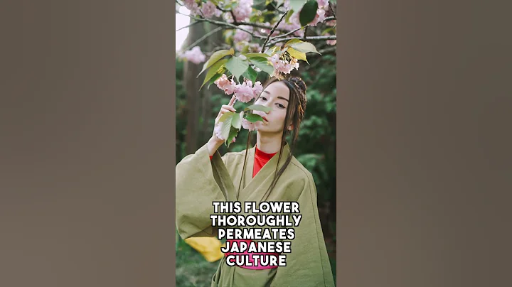 🌹 Top 3 Most Beautiful Flowers in The World #Shorts