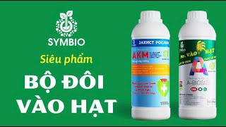 BỘ ĐÔI HOÀN HẢO VÔ GẠO
