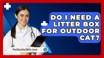 Do I Need A Litter Box For Outdoor Cat? - PetGuide360.com