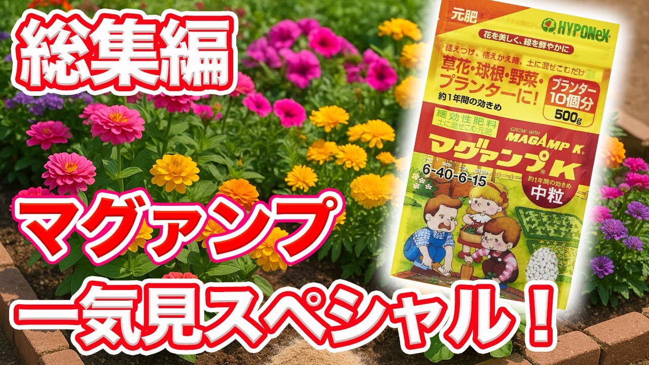 【保存版】マグァンプの効果・使い方・注意点まで完全網羅！厳選動画まとめて一気見【園芸の基本】【園芸塾】【ハイポネックス】