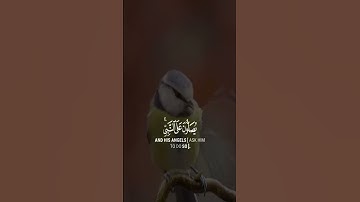 إن الله وملائكته يصلون على النبي 🌿 || القارئ عبدالحفيظ ابن فرتات 💙🌿