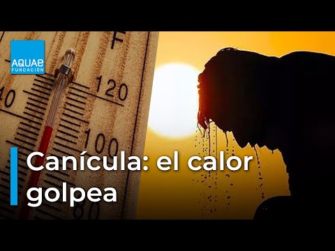 ☀️🌡️¿Qué es la CANÍCULA?🌡️☀️