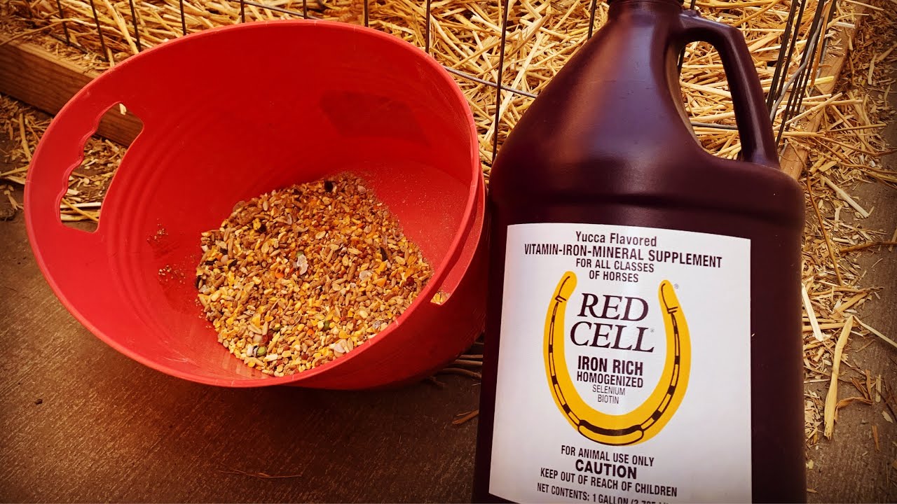 RED CELL GALLO FINO!!