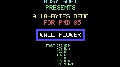 Flower Wall PMD85