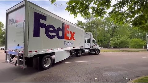 GLOBALink | Giant panda Ya Ya departs Memphis Zoo