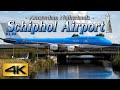 【4K 60P】Special Spotting in AMSTERDAM AIRPORT SCHIPHOL  2019 the Amazing Airport | Plane Spotting