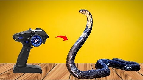 rc prank snake || unboxing || #sanke