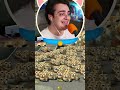 LA CITTÀ DI GMOD È STATA INVASA DAI GATTI!