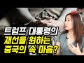 중국 정부는 왜 트럼프 대통령의 재선을 원하는가? 한국은 미중갈등의 반사이익을 노려라!  | 안유화 교수 | 815머니톡