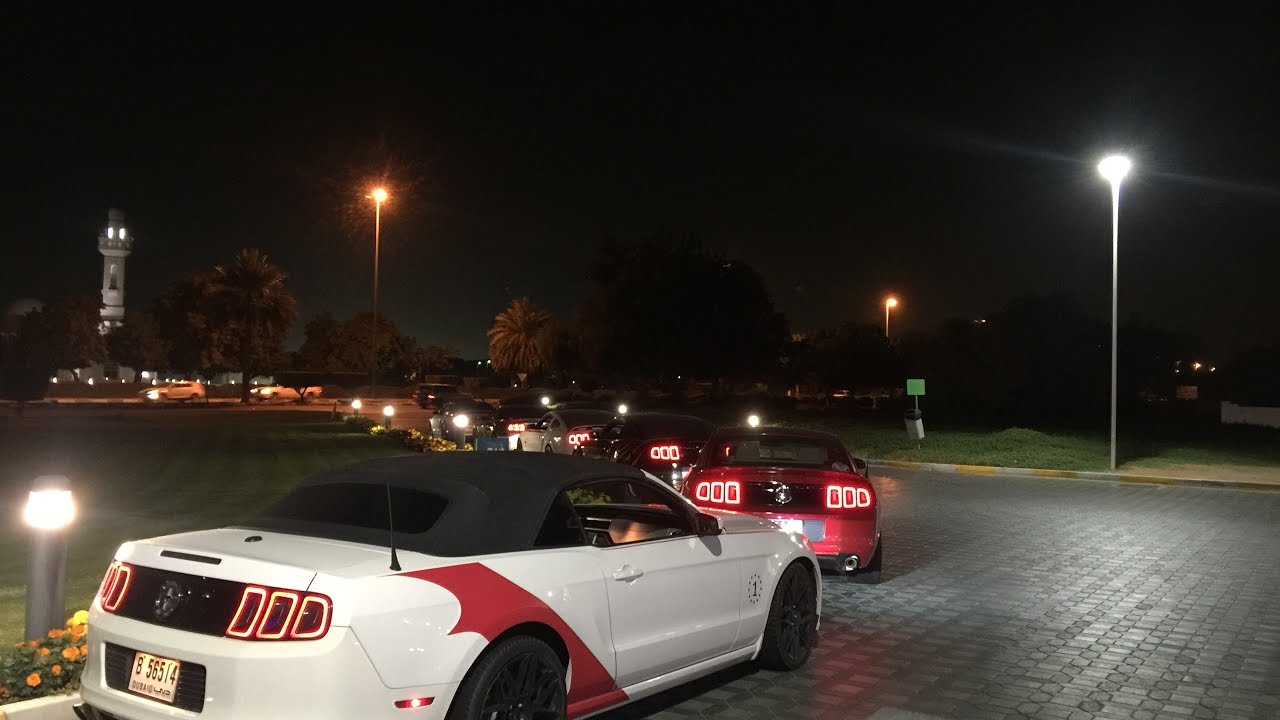 Emirates Mustang gathering in Alain 2017 تجمع قروب موستنق الامارات في ...