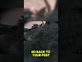 CASEOH AND FANUM GANK #sekiro_gameplay #sekirobosses #sekiroshadowsdietwicewalkthrough