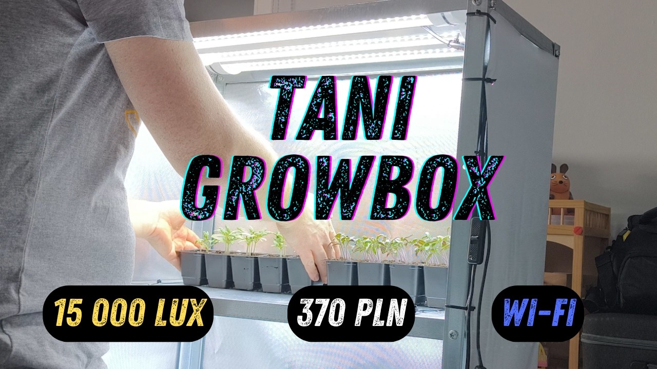 DOMOWY GROWBOX za 370 zł – POMIDORY rosną jak SZALONE! 🍅🚀