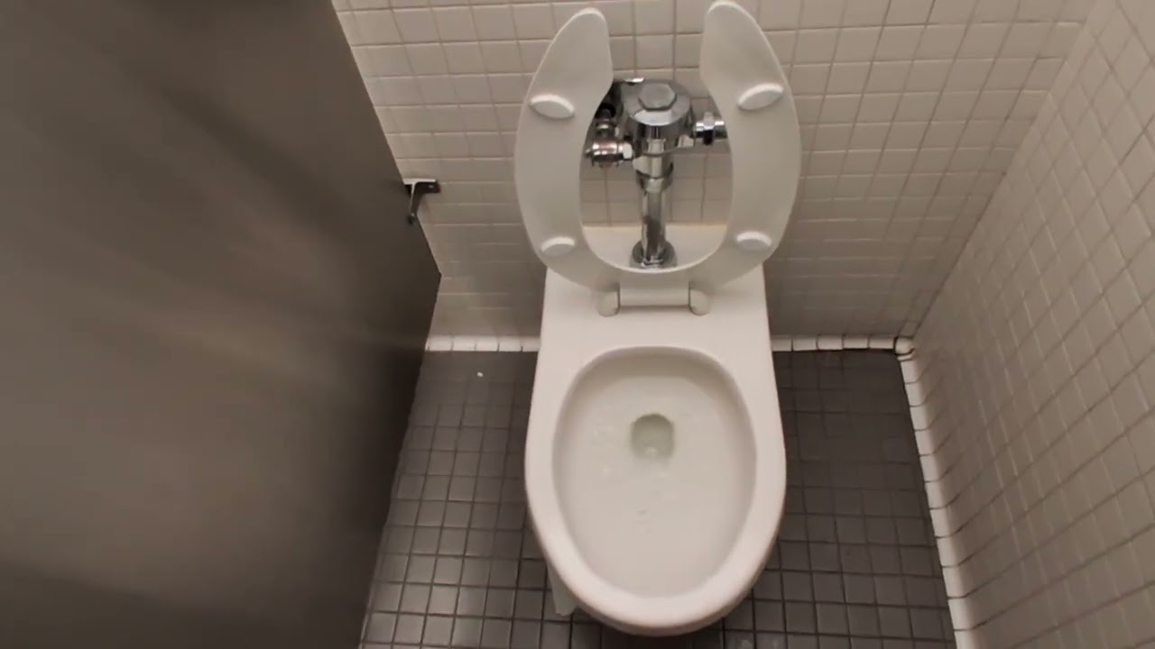 American Museum of Natural History toilets 