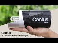 Cactus RQ250 is a Tiny 250Ws Battery-Powered TTL Wireless Monolight