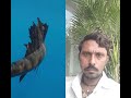 "School में पकड़े गए ये Gadgets!"#3 देख...Top 3 Deadliest Fishes in the World |लास्ट व