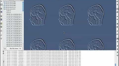 Brainvoyager QX rename DICOM files in multiple folders at once using applescript