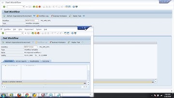 SAP ABAP WORKFLOW Demo by R.S Agarwal