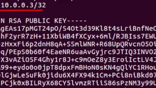 Demo Tinc - VPN