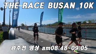 THE RACE BUSAN 10K 완주전 영상 am08:48~09:05