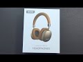 Swanky Gold Bluetooth Headphones | Sharkk Aura