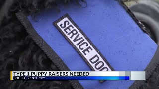 Dogs in need of puppy raisers ...