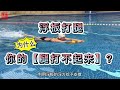 FREE TEACH 自由泳 浮板打腿入門 為什麼你的腿打不起來 FREE TEACH 自由泳 浮板打腿入門 為什麼你的腿打不起來