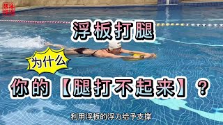 FREE TEACH自由泳「浮板打腿入門」為什麼你的腿打不起來