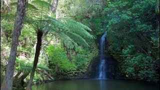 Auckland to Northshore | New zealand | Omeru reserve | #auckland #immigrants #newzealand #viral