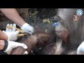Middle of video
