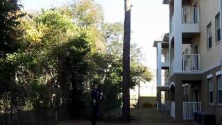 Triple Side Toss - Exhibition Drill Trick Library - By Independent Drill