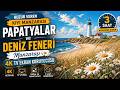 Coastal Daisy & Lighthouse Views 🌼 | 4K TV Wall Art Screensaver | Beach Decor 1 HOURS