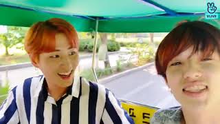 day6 vlive: jae and young k talk about tattoos eng