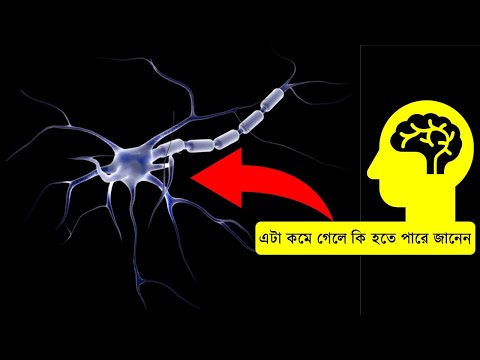 ভিডিও: আপনি কি নতুন নিউরাল পাথওয়ে তৈরি করতে পারেন?