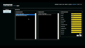 Automation Scripting