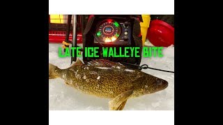Walleye Bite Pre Spawn Late Ice