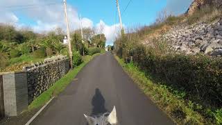 Beach Ride with Horse Behaviourist in Wales   GoPro Helmet Cam