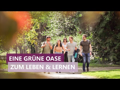 #10: Eine grüne Oase - 11 Gründe für die Uni Hohenheim
