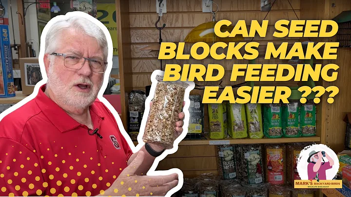 Can Seed Blocks Make Bird Feeding Easier?