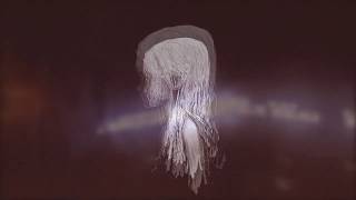 Clann - I Hold You Türkçe Altyazı