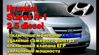 Hyundai Starex H1: отключение мочевины (AdBlue), удаление сажевого фильтра (DPF) и клапана ЕГР (EGR)