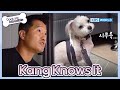 Kang Knows Everything 😌 [Dogs are incredible : EP.195-3] | KBS WORLD TV 231128