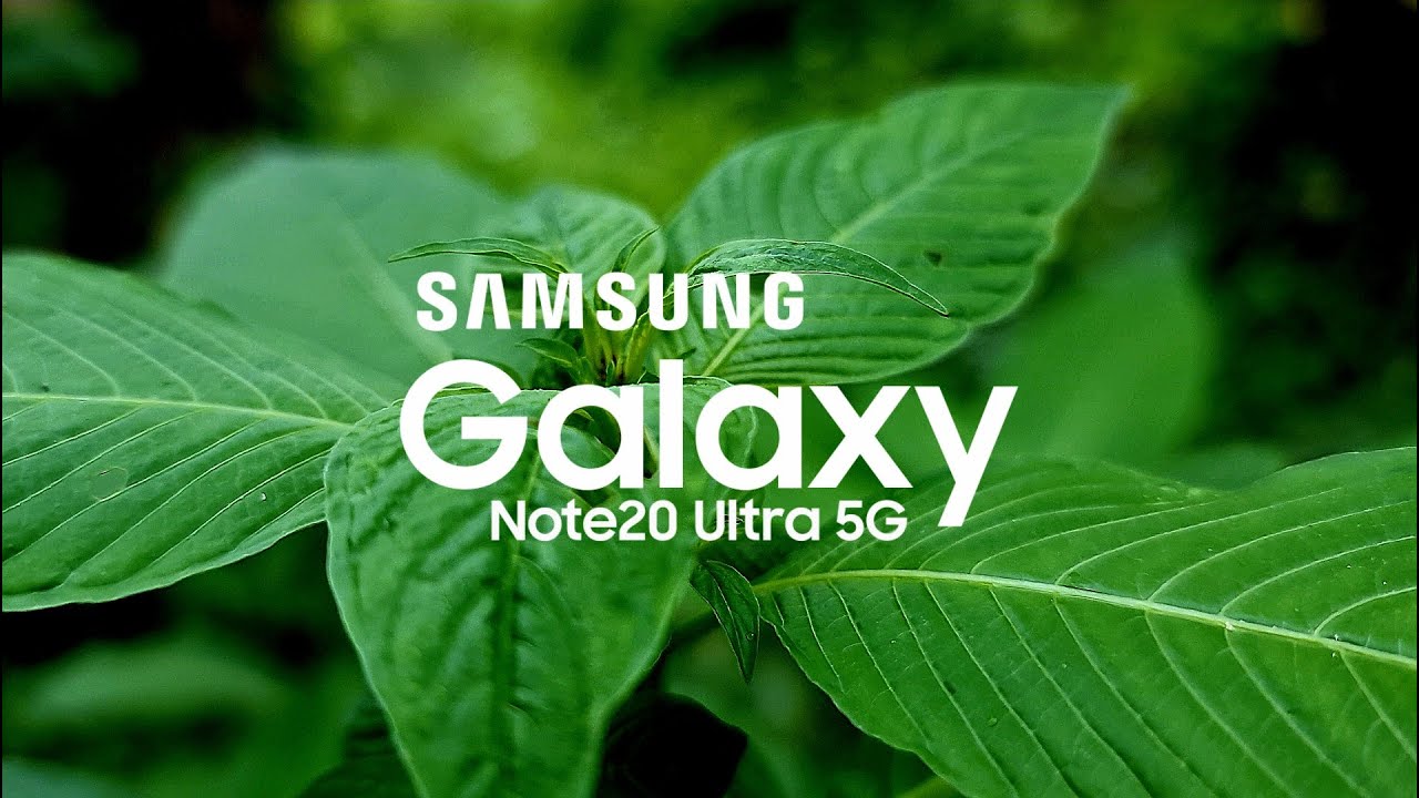 Galaxy Note 20 Ultra Cinematic Videos | 4K Footage - YouTube