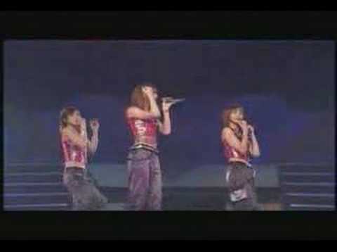 LIVE-Gomatto-Shall We Love