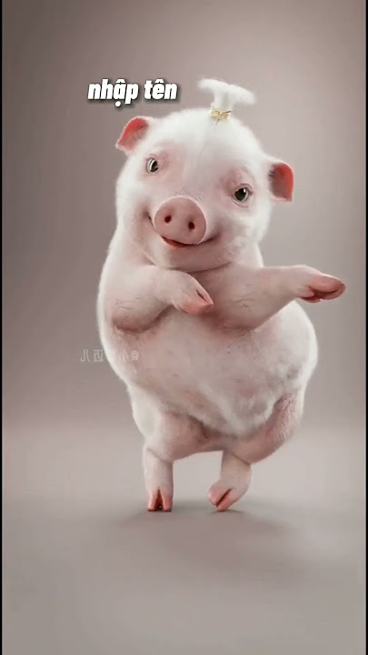 bé heo nhảy vũ điệu làng lá