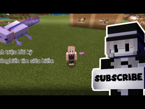 Video CÁCH TRIỆU HỒI KỲ NHÔNG TÍM TRONG MINECRAFT PE - youtube