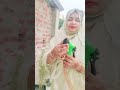 Nozzle Spray Gun 🔫 For Plants Watering 💨.         #shortfeed#eid